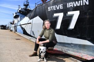 All aboard! The Steve to host a sustainable Christmas market