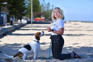 Paws for mental health