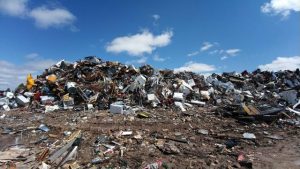 Hobsons Bay Crs share how they voted in weekly rubbish collection debate