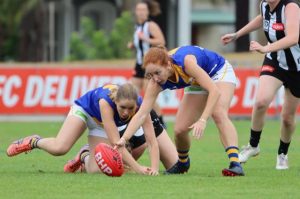 Seagulls succumb to Pies