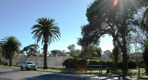 Concerns over upkeep of Dennis Reserve