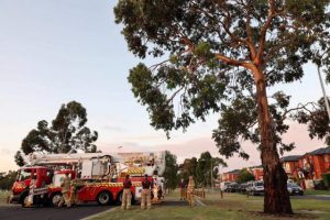 Firefighters rescue trapped cockatoo in Maidstone