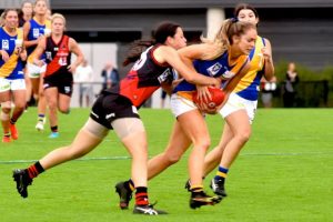 Seagulls show good signs