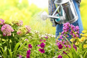 Hobsons Bay gardening group looking for new members