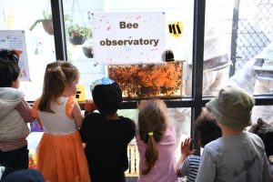 How a not-for-profit organisation served the Hobsons Bay community during the pandemic