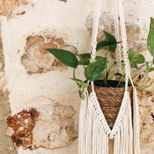 Macramé Plant Hanger Workshop