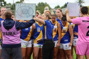 Seagulls fall short again