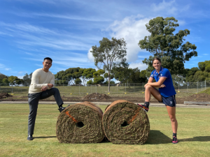 Skinner reserve upgrade nearing completion