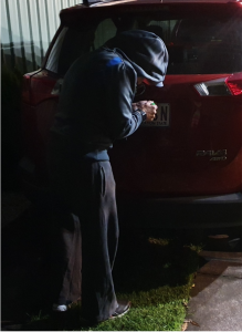 Prevent number plate theft