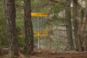 Come and try Disc Golf