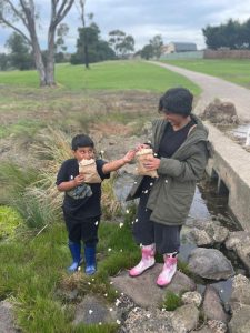 Call out for greener visions for film tickets