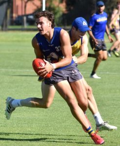 Seagulls on the board