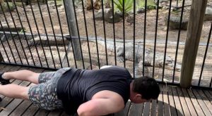 Strength in numbers for push-up challenge