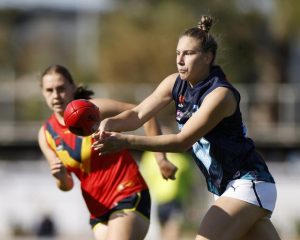 Around the grounds Maribyrnong and Hobsons Bay