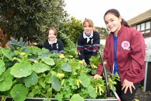 Helping hand for land care lessons
