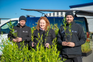 Greener west on the way