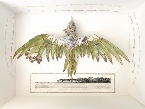 Creative visions of the west