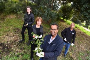 Greener plans for the west