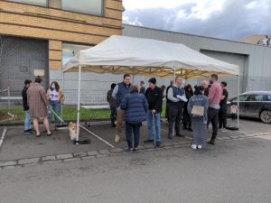 Call to save historic trees