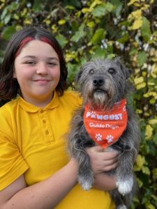 Paw-fect pair pounding the pavement