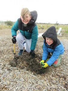 Planting west’s greener future