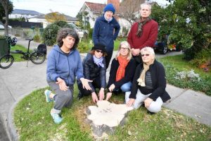 Partial removal of ‘itchy bomb’ trees endorsed