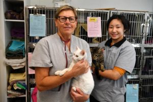 Get your cats desexed