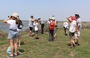 Reconnecting with nature