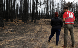 Red Cross volunteers helps connect people in crisis