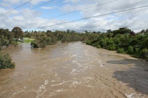 Properties urged to evacuate as Maribyrnong River floods