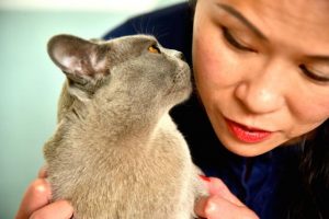 Finding comfort in creature companions