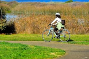 Wheels turning on bike sports expansion