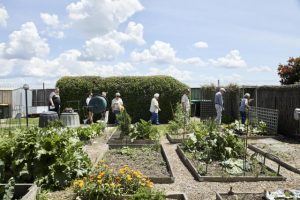 Natural space for Port Phillip Village residents opened