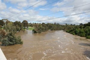 Western Lawn visitors advised to stay careful