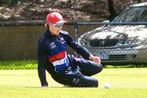 Bulldogs too strong for the Kangaroos