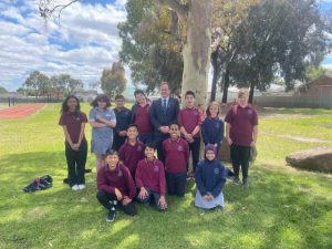 Learning among the gumtrees