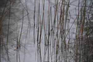 Highlighting waterway walks