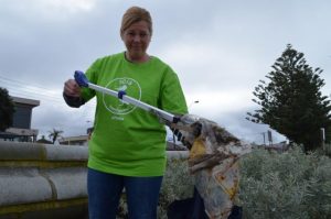 Volunteer rubbishes beach data