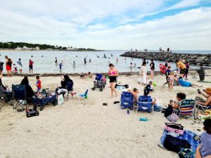 Safe to swim following vegetable oil spill