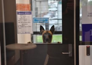 Through the lens: September and October