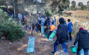 “Disappointing” theft for conservation group