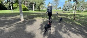 Petition to save reserve