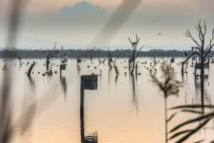 Art project shines light on wastewater plant