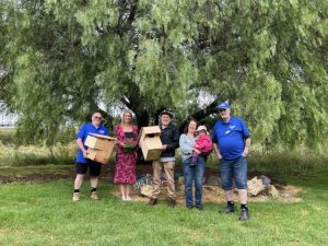 New homes among the trees