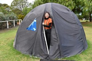 Connecting art with nature