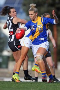 Seagulls on the board