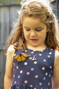 Family fun in full flight