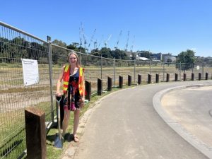 Western Lawn work completion set for December