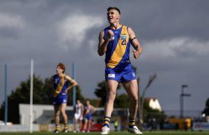 Seagulls bounce back