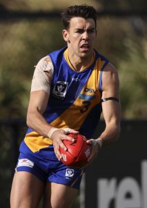 Seagulls tough it out